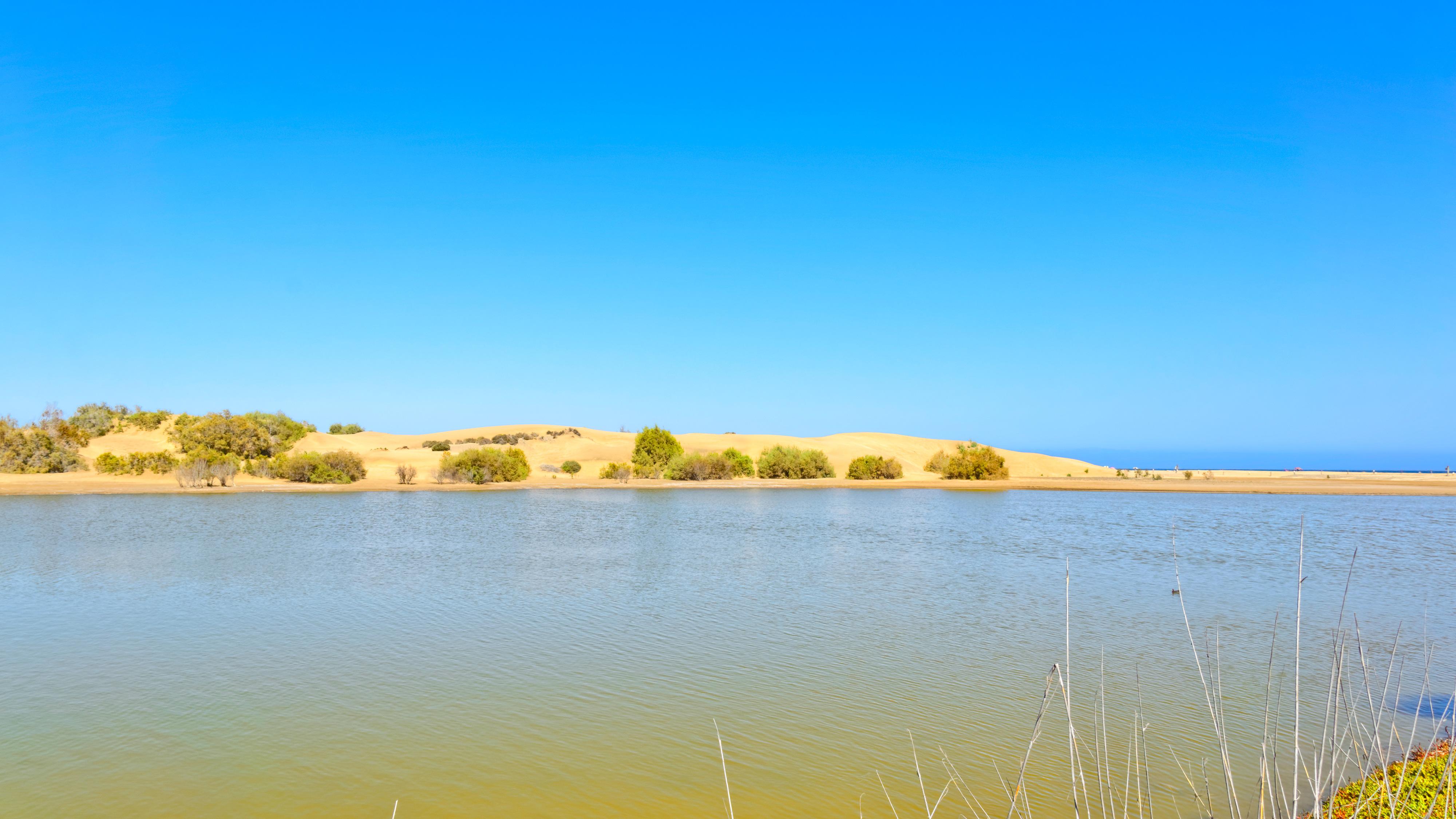 Apartamentos Cocoteros - Tamara Maspalomas  Bagian luar foto